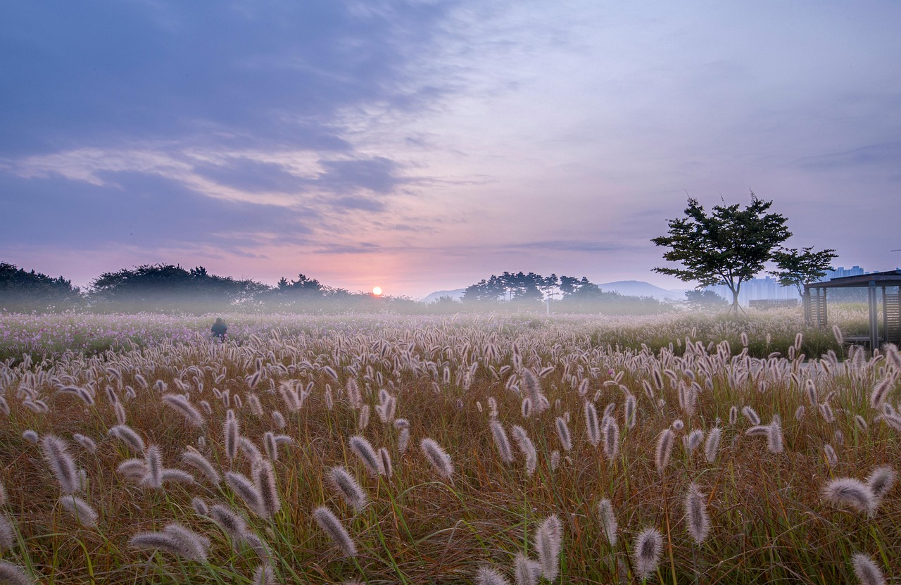 The Lost Meres of the Northern Fen